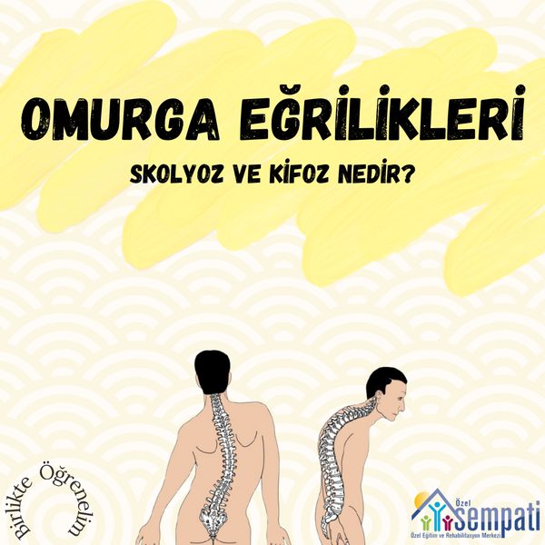 Omurga Eğrilikleri Nedir? — Birlikte Öğrenelim