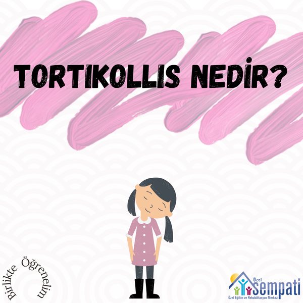 Tortikollis Nedir? — Birlikte Öğrenelim